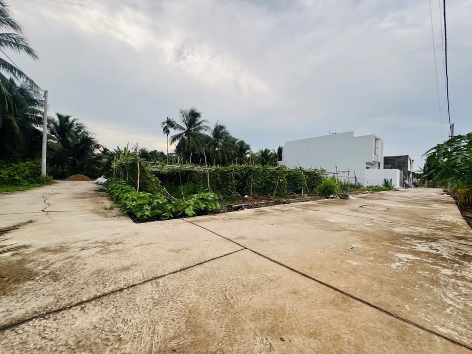 Đất nền hướng Tây Nam tại Phước Hòa, 135m² giá chỉ 700 triệu - Cơ hội đầu tư tuyệt vời!