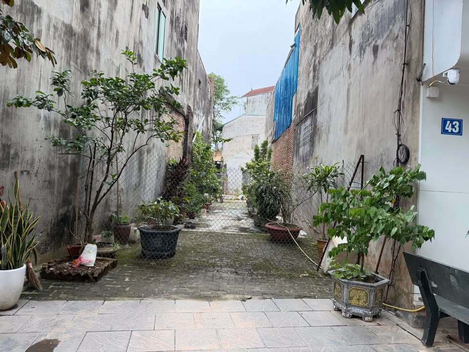 Đất nền mặt đường Nguyễn Cao Bắc Ninh 174m² giá 10 tỷ - Kinh doanh sầm uất ngay!