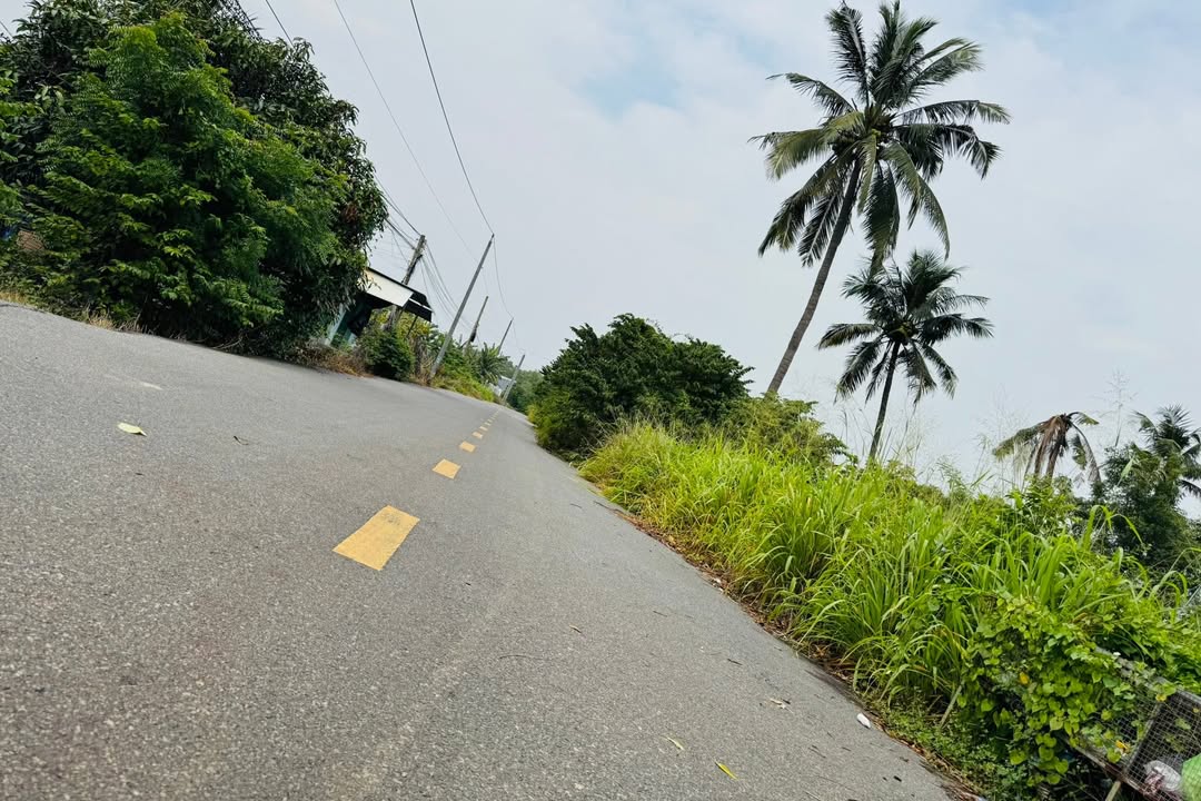 Đất nền Phước Hội 3900m² giá chỉ 3 tỷ - Cơ hội đầu tư hấp dẫn!