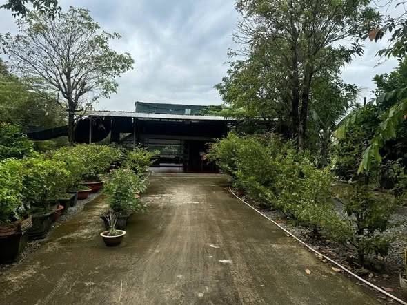 Đất vườn tại Tân Thạnh Đông, Củ Chi 1000m² giá 4.2 tỷ - Cơ hội đầu tư hấp dẫn!