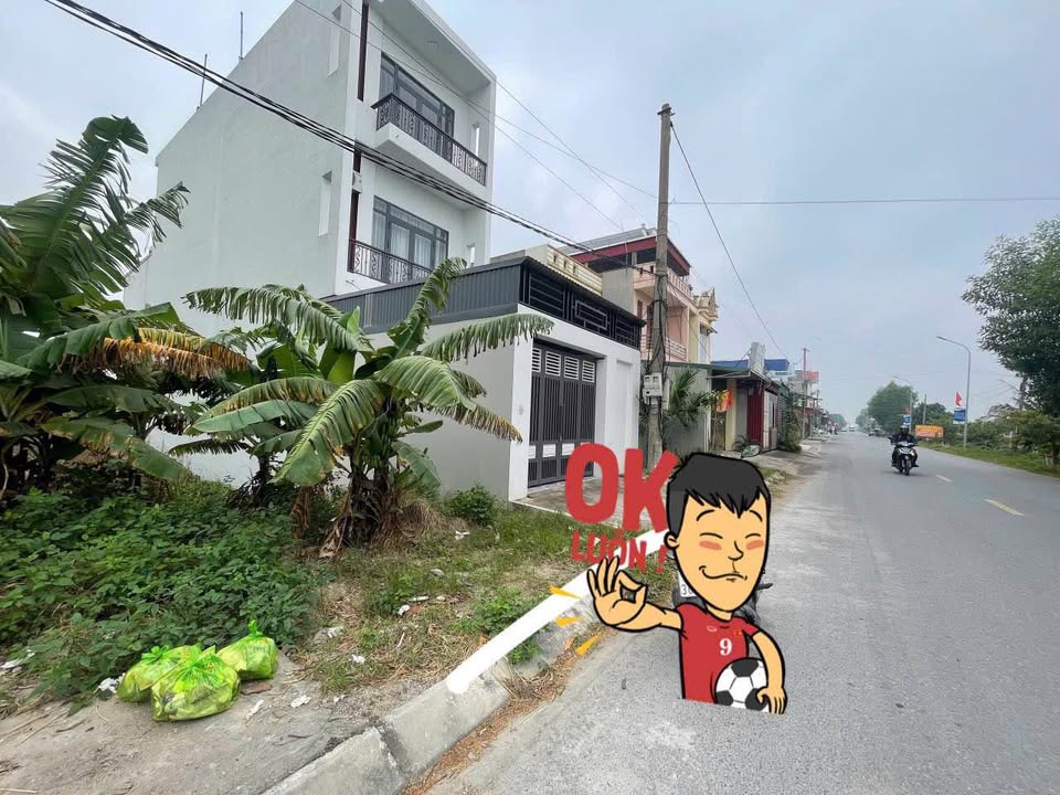 Đất mặt đường kinh doanh Đoàn Thượng, Gia Lộc 100m² - Cơ hội đầu tư lý tưởng!