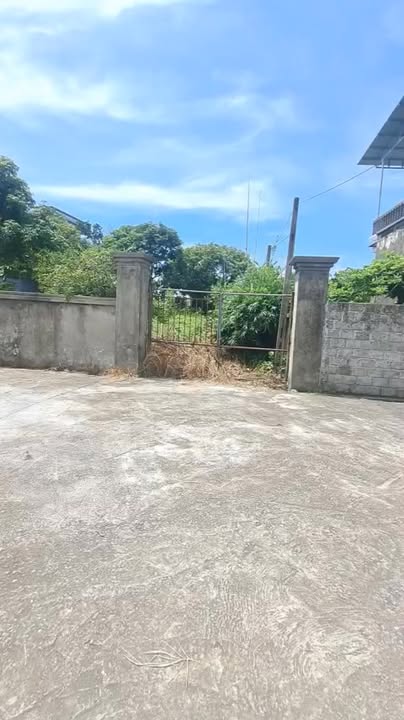 Đất thổ cư Hồng Dụ, Ninh Giang 308m² giá 1.6 tỷ - Cơ hội đầu tư tuyệt vời!