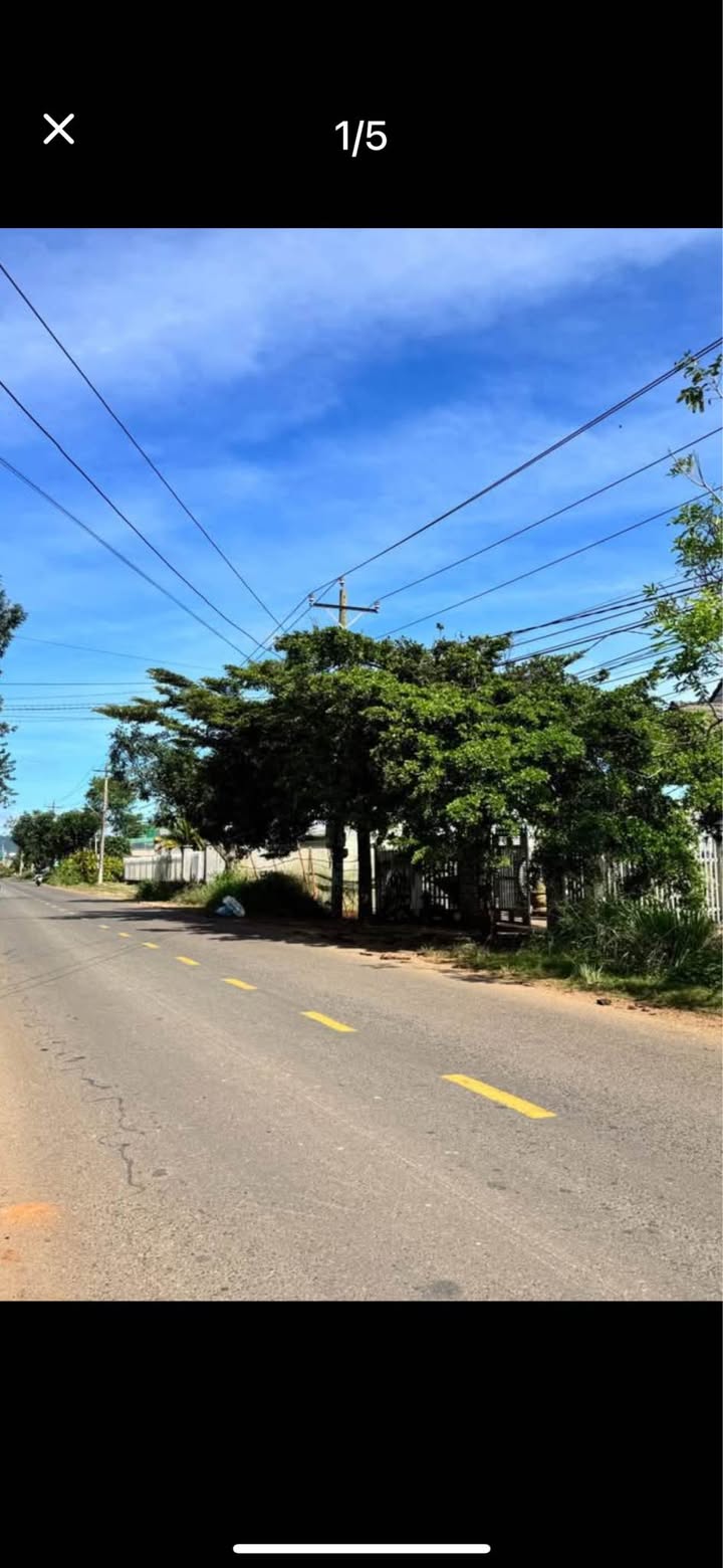 Đất nền Tân Hội, Đức Trọng 500m² - Mặt tiền đường nhựa, kinh doanh thuận lợi!