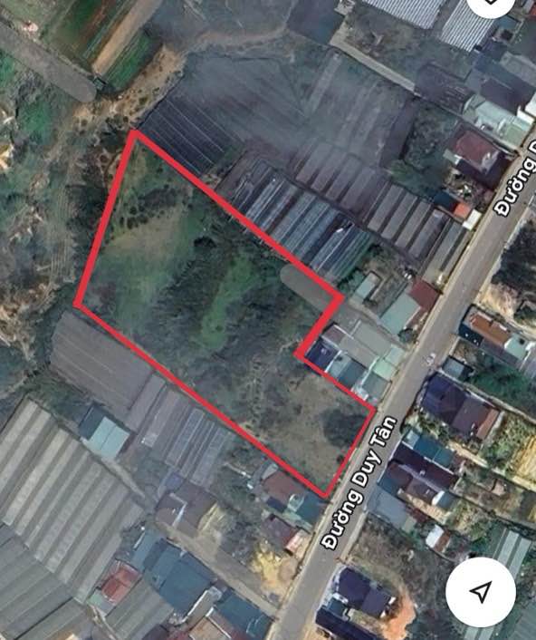 Đất mặt tiền đường Duy Tân, Lạc Dương 6045m² chỉ 60.45 tỷ - Tiềm năng đầu tư lớn!