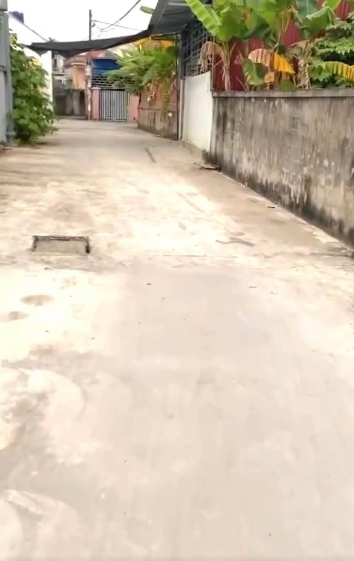 Đất thổ cư Thủy Nguyên 56.5m² giá chỉ từ 900 triệu - Vị trí đắc địa gần chợ!