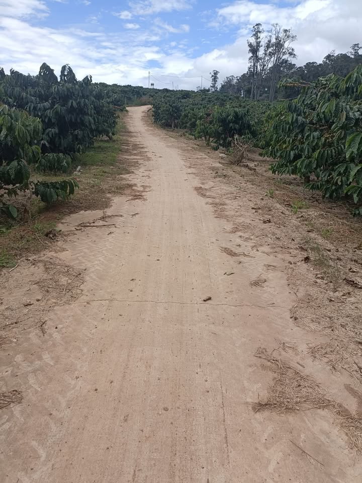 Đất nền Lâm Hà 8000m² giá 2.95 tỷ - Sổ đỏ chính chủ, đầu tư sinh lời!