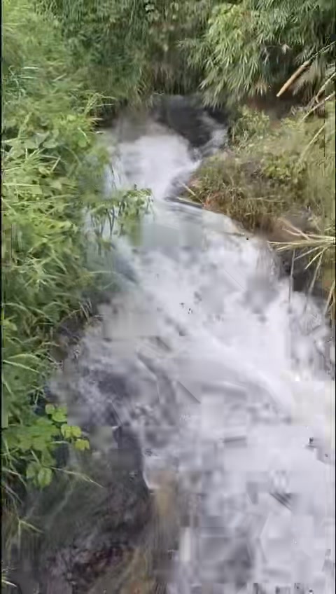 Đất Farm Lộc Thành Bảo Lâm 2,1ha giá 588 triệu - Cơ hội đầu tư tuyệt vời!