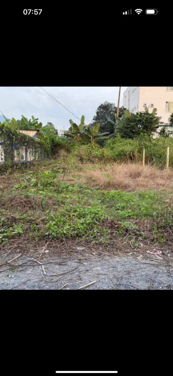 Đất nền Ninh Trung 192m² giá chỉ 115 triệu - Cơ hội đầu tư hiếm có!