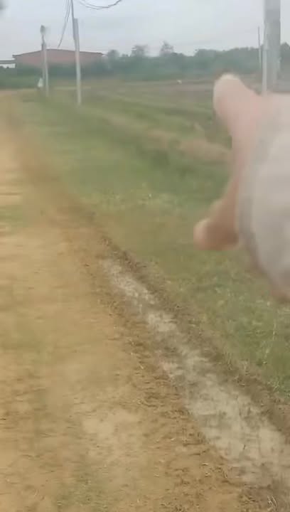 Đất nền Phước Minh Dương Minh Châu 150m² giá 200 triệu - Cơ hội đầu tư hấp dẫn!