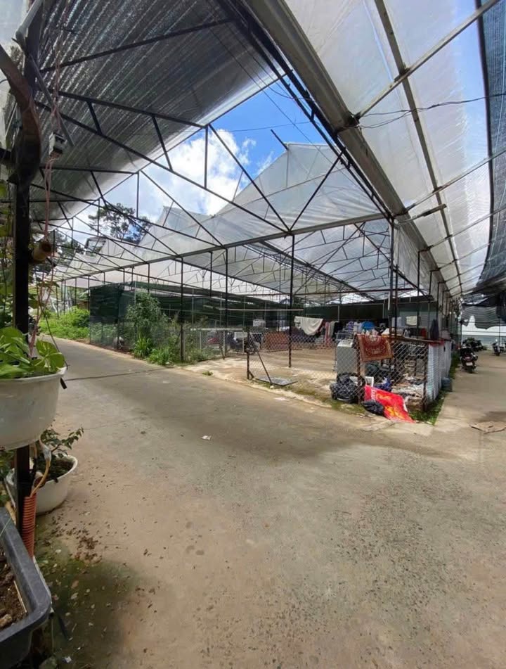 Đất 2 mặt tiền Tôn Thất Tùng, Đà Lạt 150m² giá 1.6 tỷ - Cơ hội không thể bỏ lỡ!