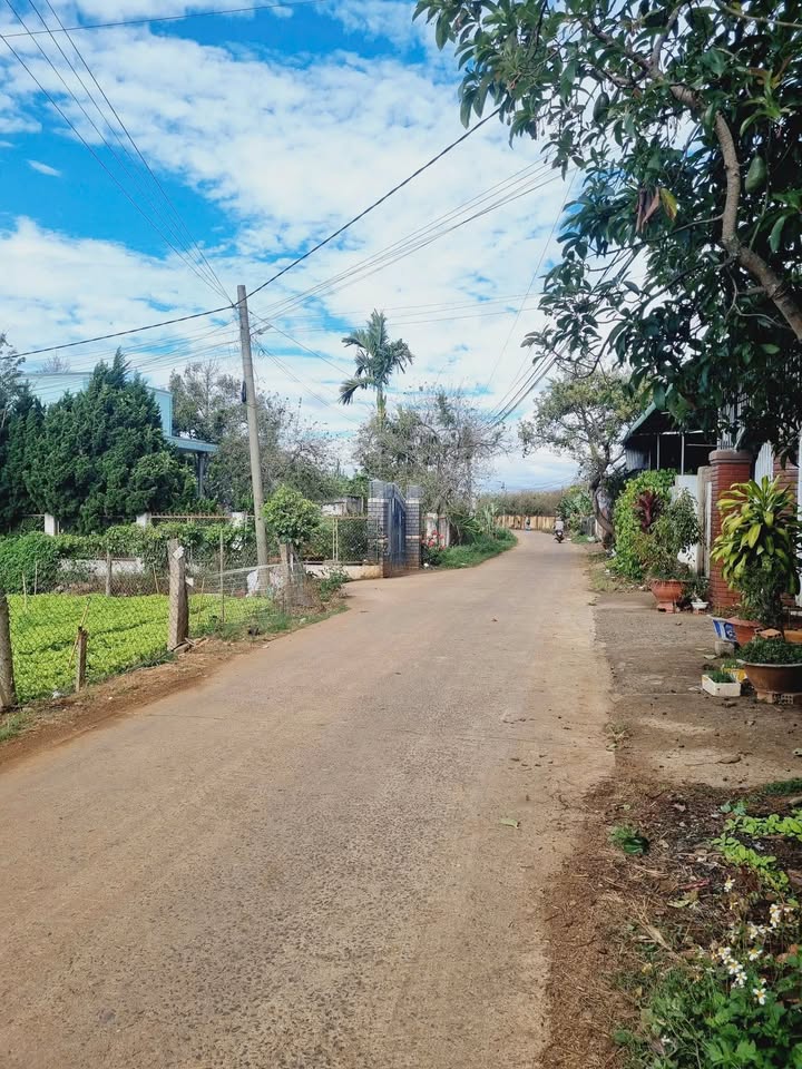 Đất nền Hiệp Thạnh, Đức Trọng 250m² giá 1.35 tỷ - Sổ hồng riêng, phù hợp nghỉ dưỡng!