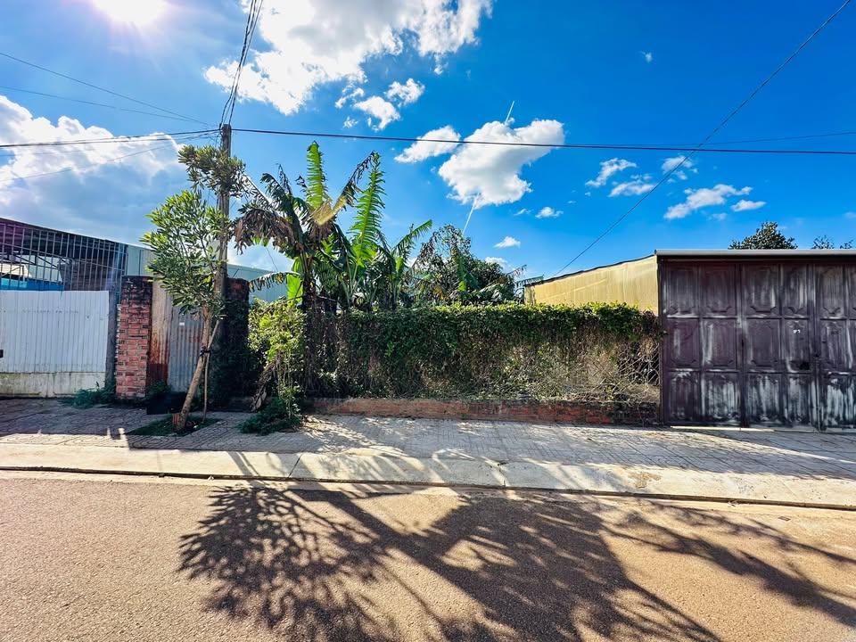 Đất mặt tiền đường Bế Văn Đàn, phường Hội Phú 168m² giá 2 tỷ - Cơ hội đầu tư hấp dẫn!