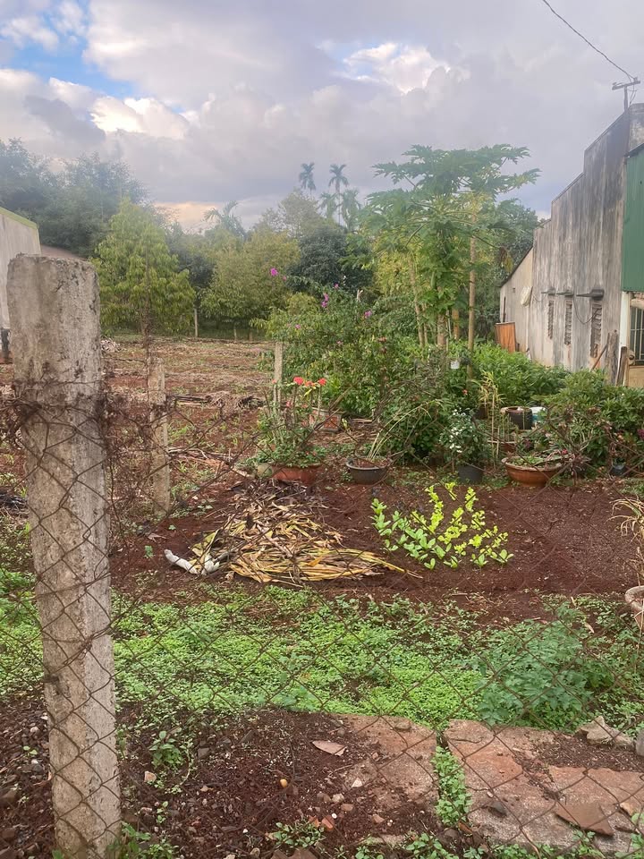 Đất thổ cư Phú Lộc 115m² giá 450 triệu - Đầu tư sinh lời ngay!