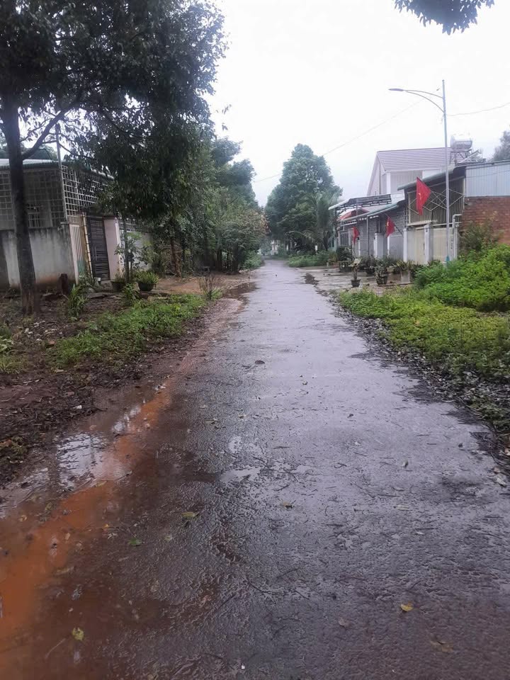 Đất nền đường Lê Hồng Phong, Ea Kar 120m² giá 1 tỷ - Đầu tư sinh lời ngay!