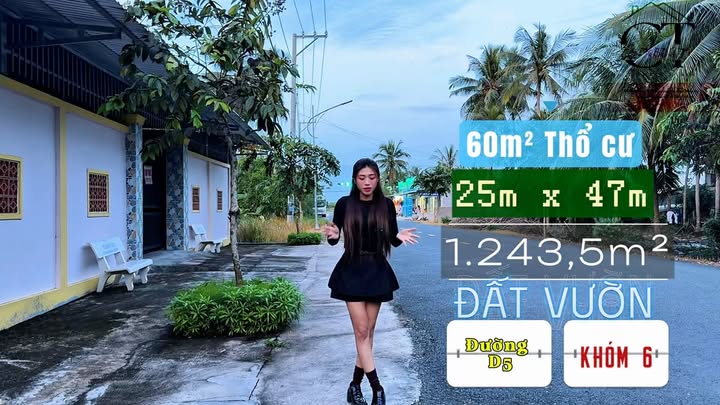 Đất vườn Khóm 6, TT. Tiểu Cần 1.243m² - Giá đầu tư hấp dẫn chỉ 1.252 tỷ!