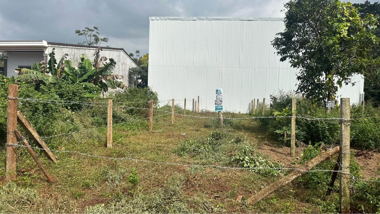 Đất liền kề đường D7, Buôn Ma Thuột 60m² giá 1.19 tỷ - Cơ hội đầu tư hiếm có!
