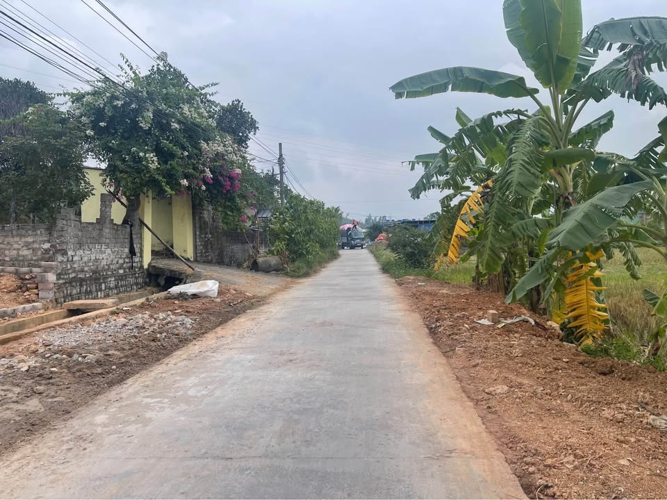 Đất thổ cư thôn 7, xã Việt Khê, Thủy Nguyên 102m² - Giá chỉ 800 triệu!