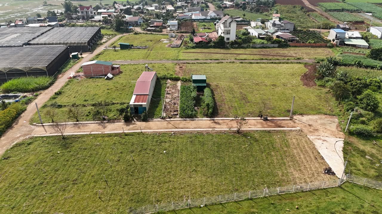 Đất thổ cư 150m² xã Phú Hội, Lâm Đồng - Cách Quốc lộ 20 chỉ 200m!