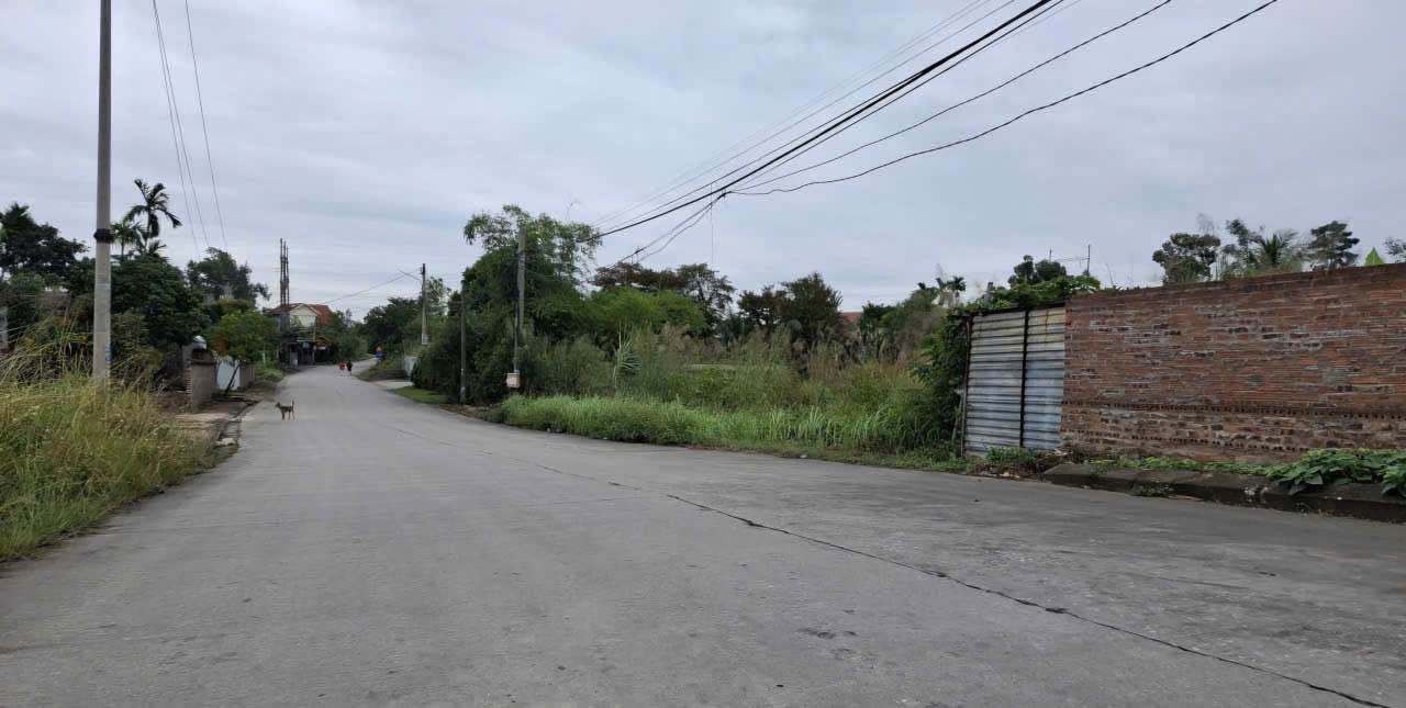 Lô đất đẹp Tổ 5, Thanh Sơn, Uông Bí 81,92m² chỉ 900 triệu - Đầu tư sinh lợi ngay!