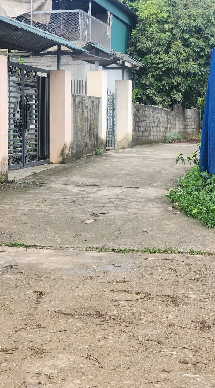 Đất thổ cư Tràng Đà 100m² giá 500 triệu - Đường ô tô thoải mái ra vào!