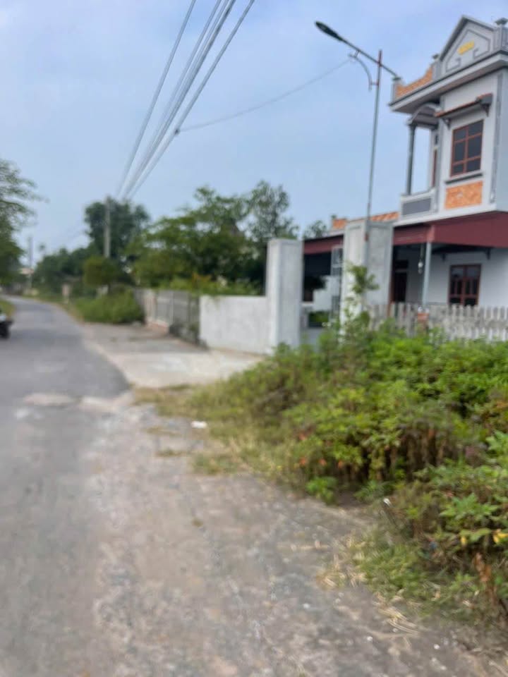 Đất nền Thuần Thành Thái Thụy 148,5m² giá 800 triệu - Đầu tư sinh lời ngay!