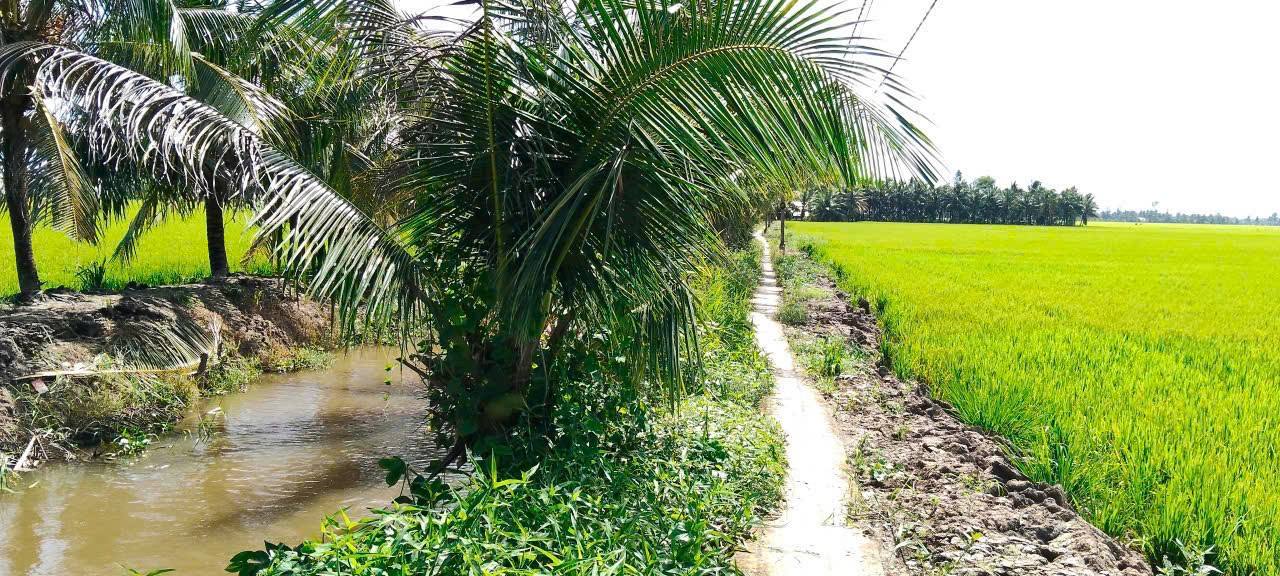 Đất mặt tiền kênh Hồ Đắc Kiện 7.700m² giá chỉ 1.115,5 triệu - Đầu tư sinh lời ngay!