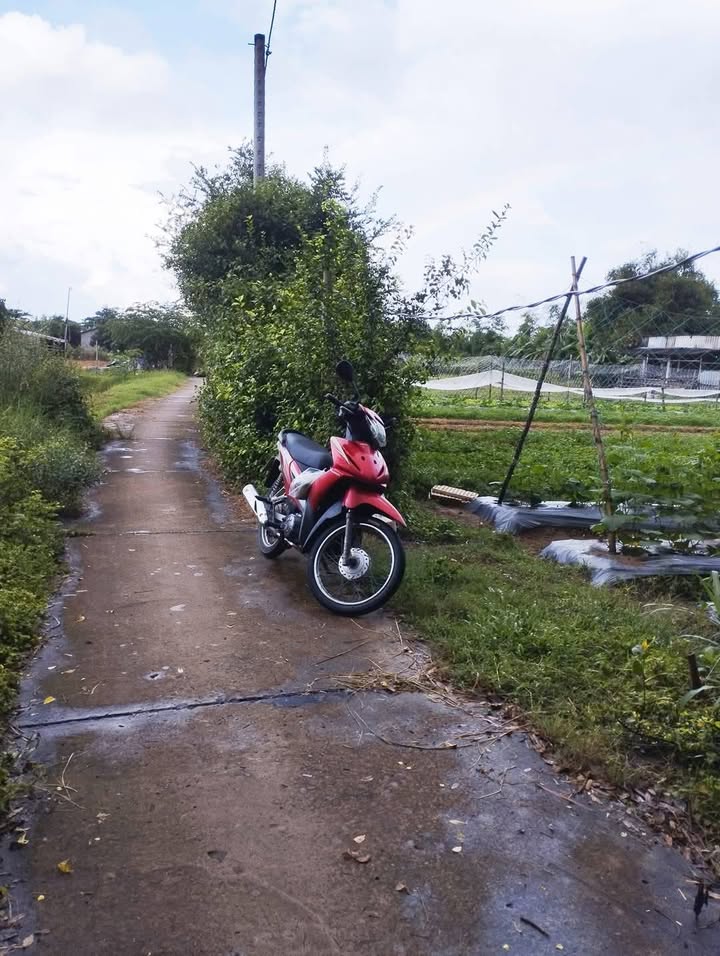 Đất thổ cư 714m² ấp Bào Bèo, Hiệp Mỹ Tây, Trà Vinh giá 604.8 triệu - Đường ô tô vào được!