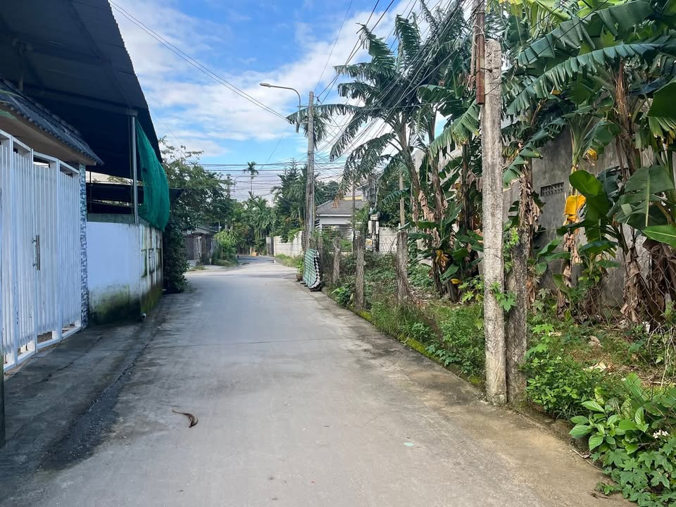 Đất nền Trương Quang Trọng, Quảng Ngãi 95m² giá chỉ 980 triệu - Trung tâm thuận tiện giao thông!