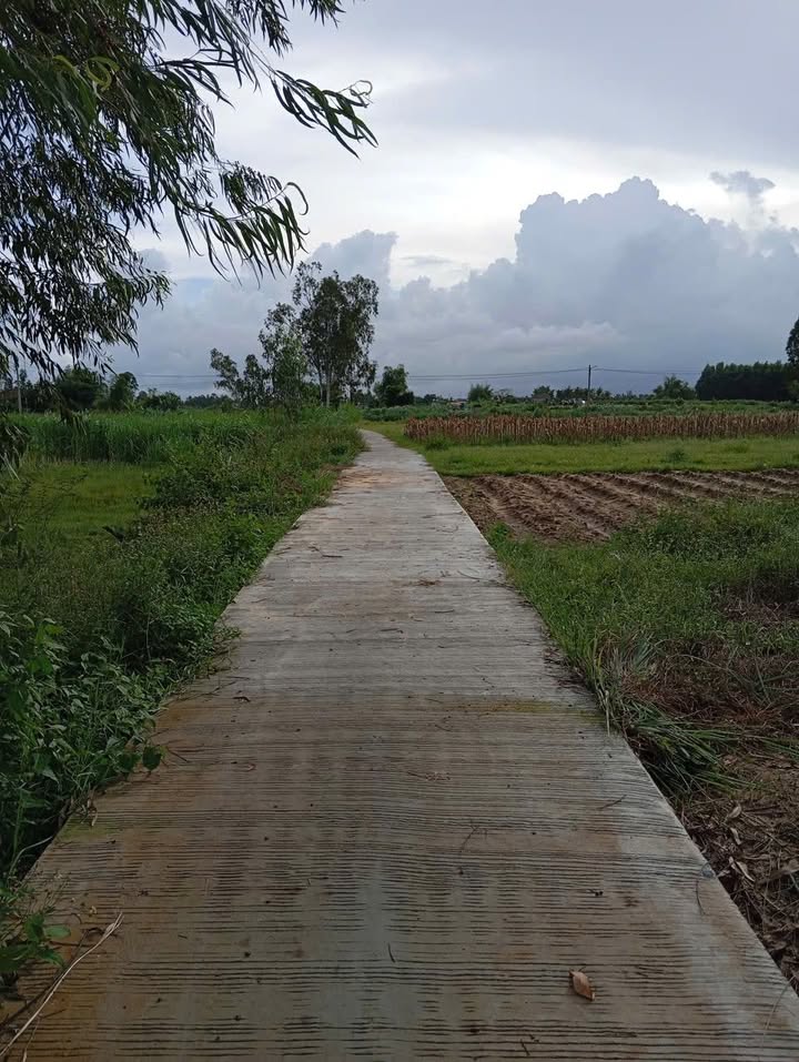 Đất nền xã Tịnh Khê 403m² giá 100 triệu - Sổ đỏ chính chủ, thương lượng tốt!