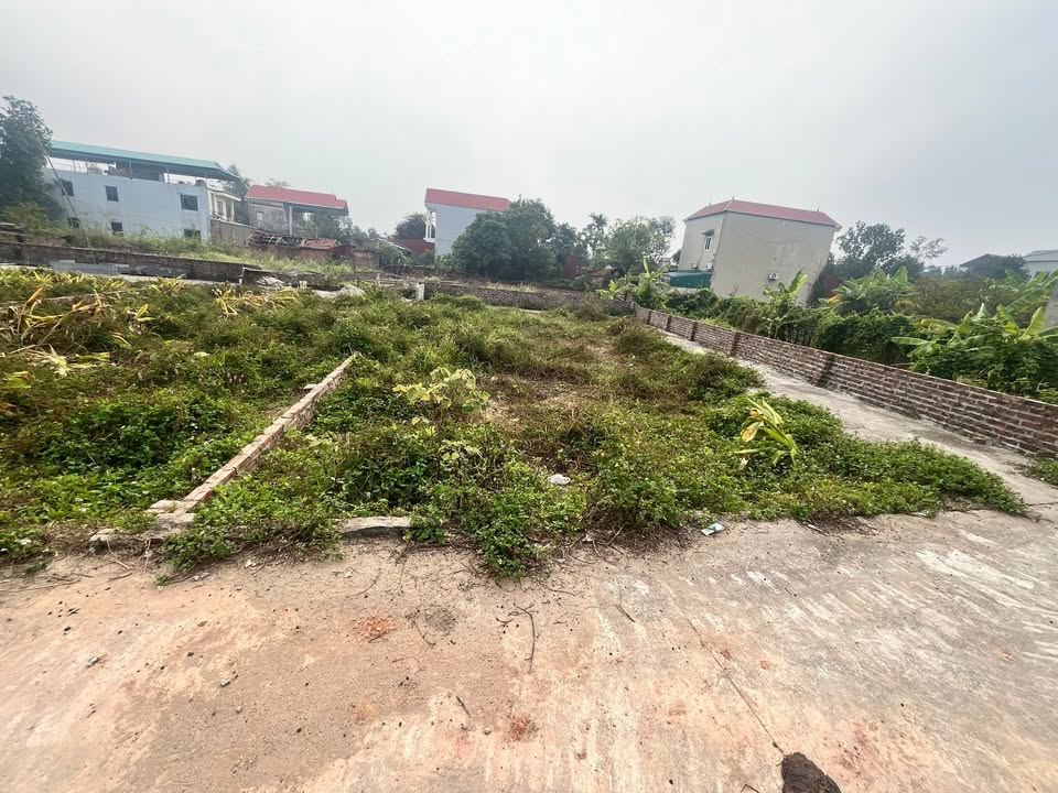 Đất thổ cư Kim Anh 135m² giá chỉ 1.4 tỷ - Sổ đỏ chính chủ