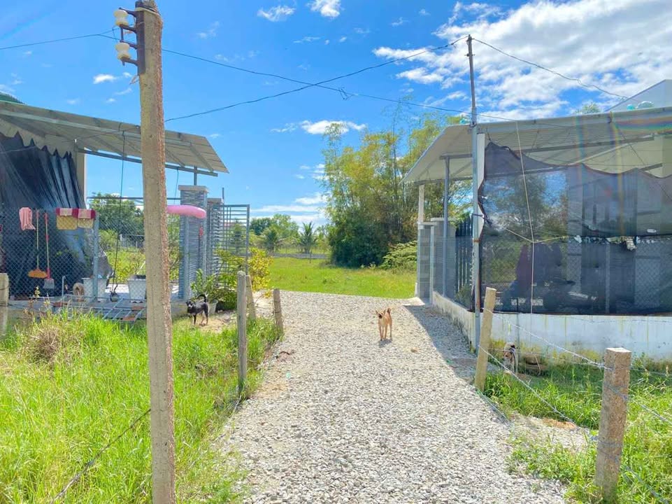 Đất thổ cư xã Vạn Thắng - 268m² giá chỉ 1.1 tỷ - Cơ hội đầu tư lý tưởng!