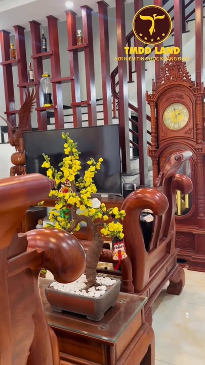 Nhà phố Đông Hoa Lư, Ninh Bình 100m² giá 3 tỷ - Chính chủ bán gấp!