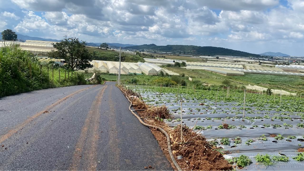 Đất nền 190m² tại xã Quảng Lập, Đơn Dương - Chỉ 599 triệu - Cơ hội đầu tư lý tưởng!