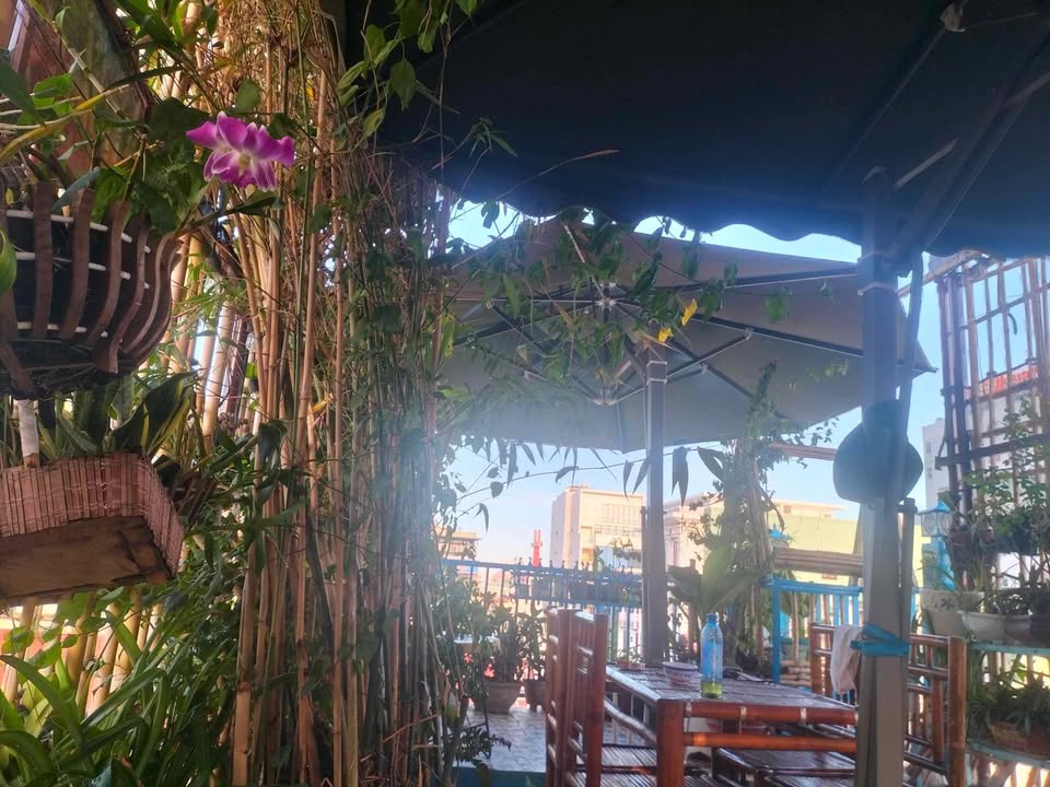 Homestay 308/16 Hoàng Diệu, Đà Nẵng - Giá chỉ từ 3,7 triệu/tháng!