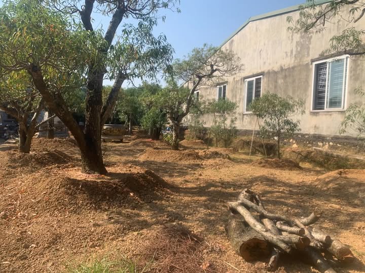 Đất nền lô góc tổ 14, phường Nông Tiến, 365m² giá 3 tỷ - Cơ hội đầu tư tuyệt vời!