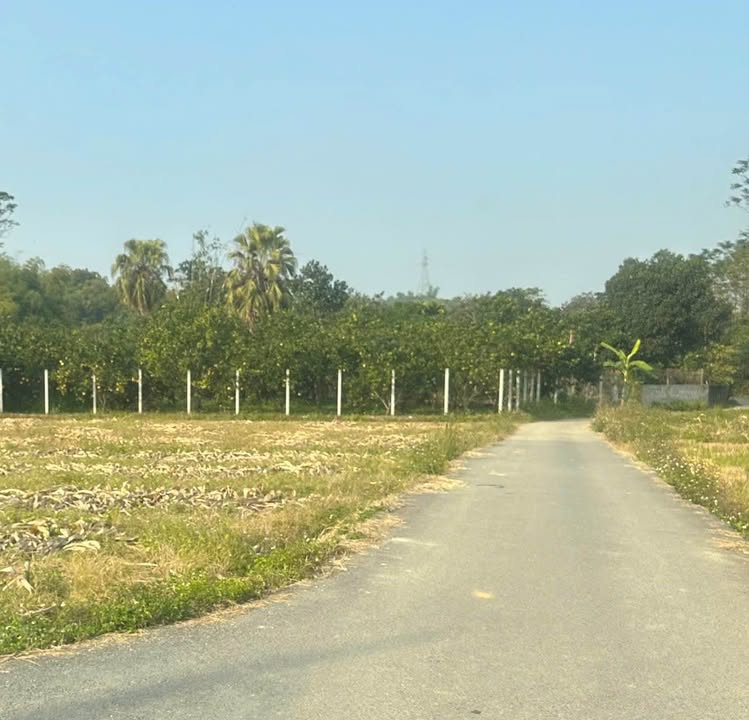 Đất thổ cư xã Trung Môn 100m² giá 1 tỷ - Tiềm năng phát triển vượt bậc!