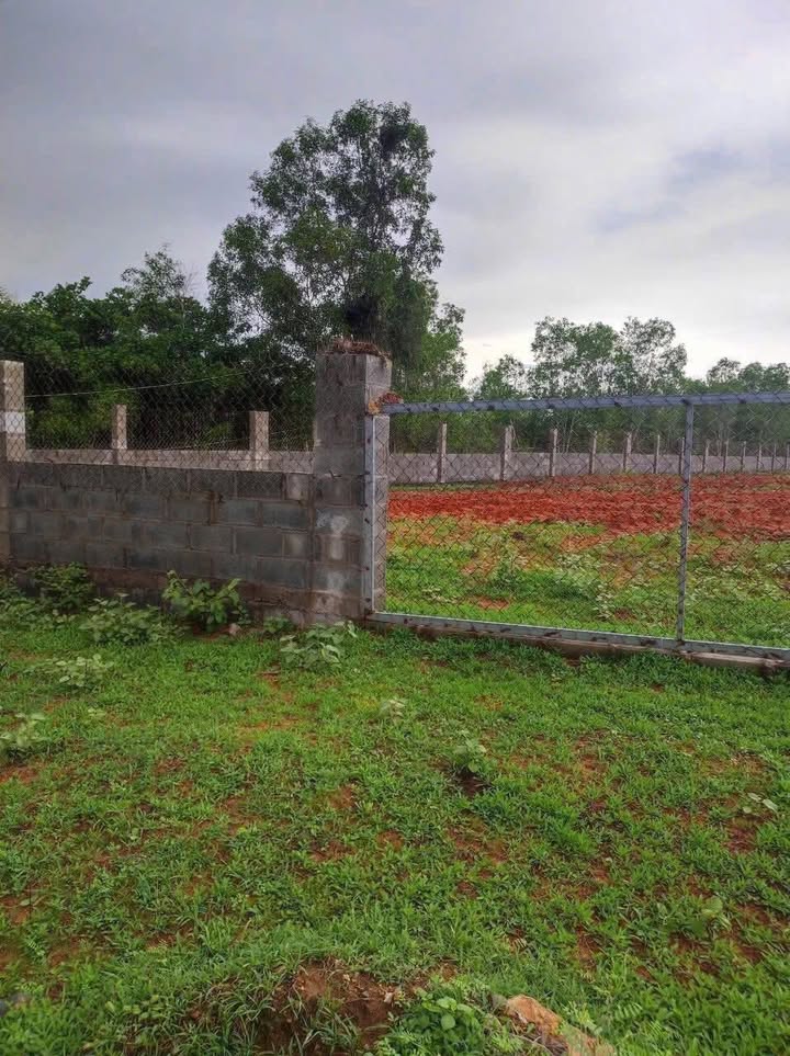 Đất nền Mũi Né 8000m² giá 8 tỷ - Cơ hội đầu tư hấp dẫn!