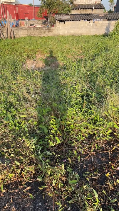 Đất nền Kiến Thụy Hải Phòng 71m² giá 1.1 tỷ - Cơ hội đầu tư tuyệt vời!