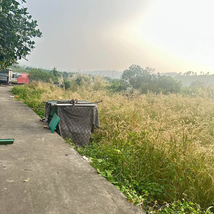 Đất nền khu phố 10, phường Thanh Sơn, TP. Uông Bí 1120m² - Tiềm năng đầu tư lớn!