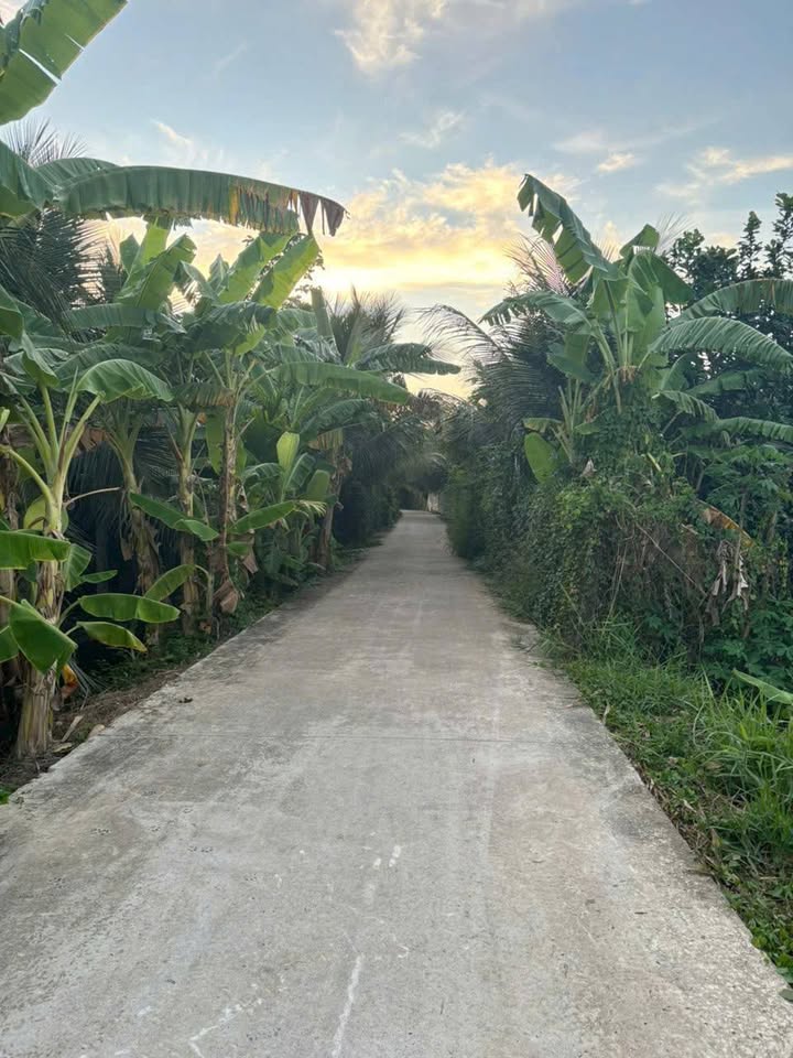 Đất nền Mỹ Hoà, Mỹ Phong 192m² giá 500 triệu - Đầu tư lý tưởng!