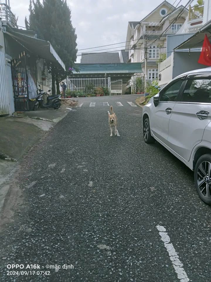 Đất nền Trần Anh Tông, Đà Lạt 72m² chỉ 5.7 tỷ - Cơ hội đầu tư tuyệt vời!