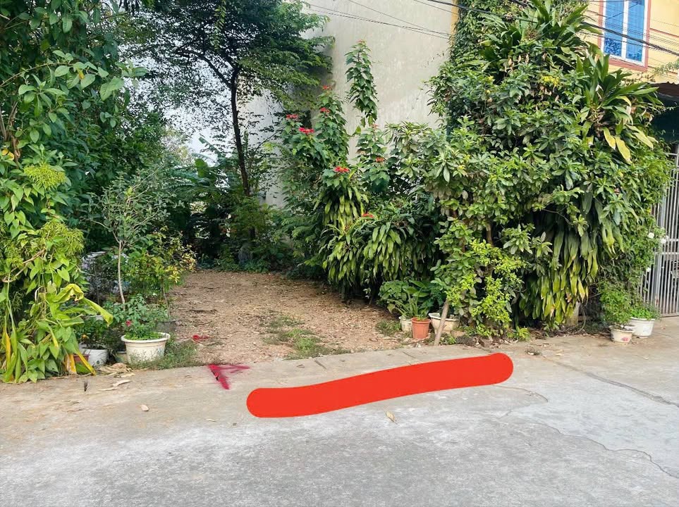 Đất thổ cư Quán Rùa, Lâm Thao 100m² - Vị trí đắc địa, pháp lý rõ ràng!