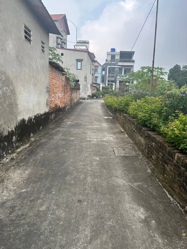 Đất nền Nghĩa Đạo, Thuận Thành 103m² giá 2.527 tỷ - Đường ô tô thông thoáng!