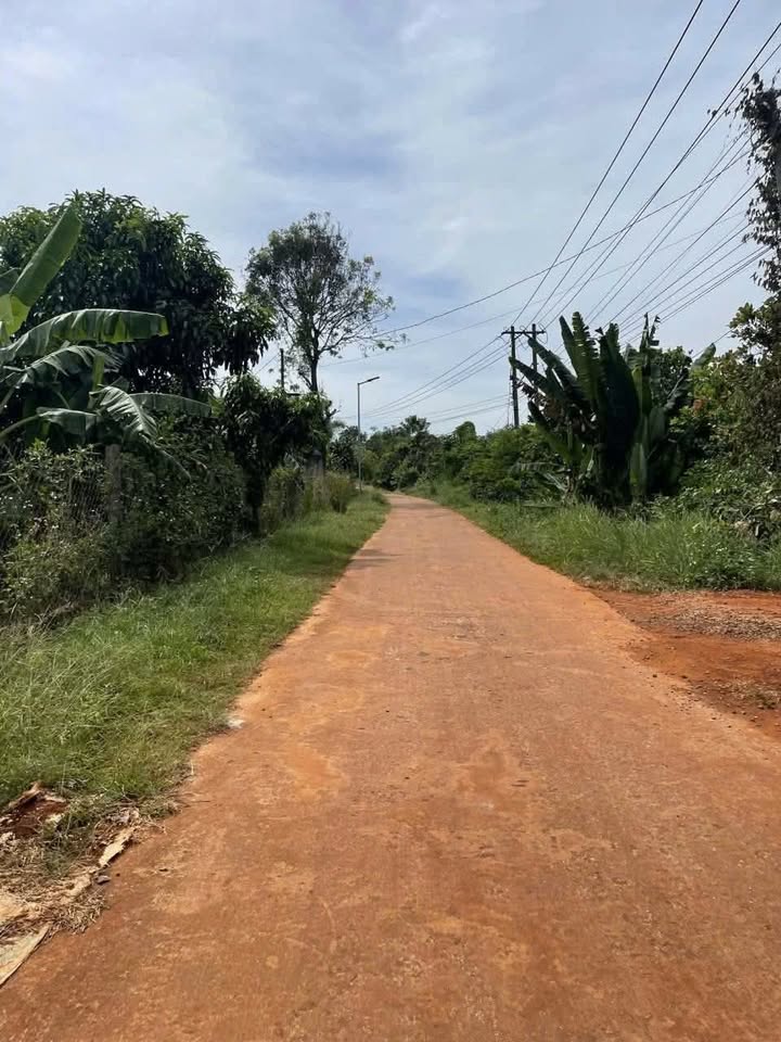 Đất cao su Tân Quan 5500m² giá 1.1 tỷ - Cơ hội đầu tư sinh lời!