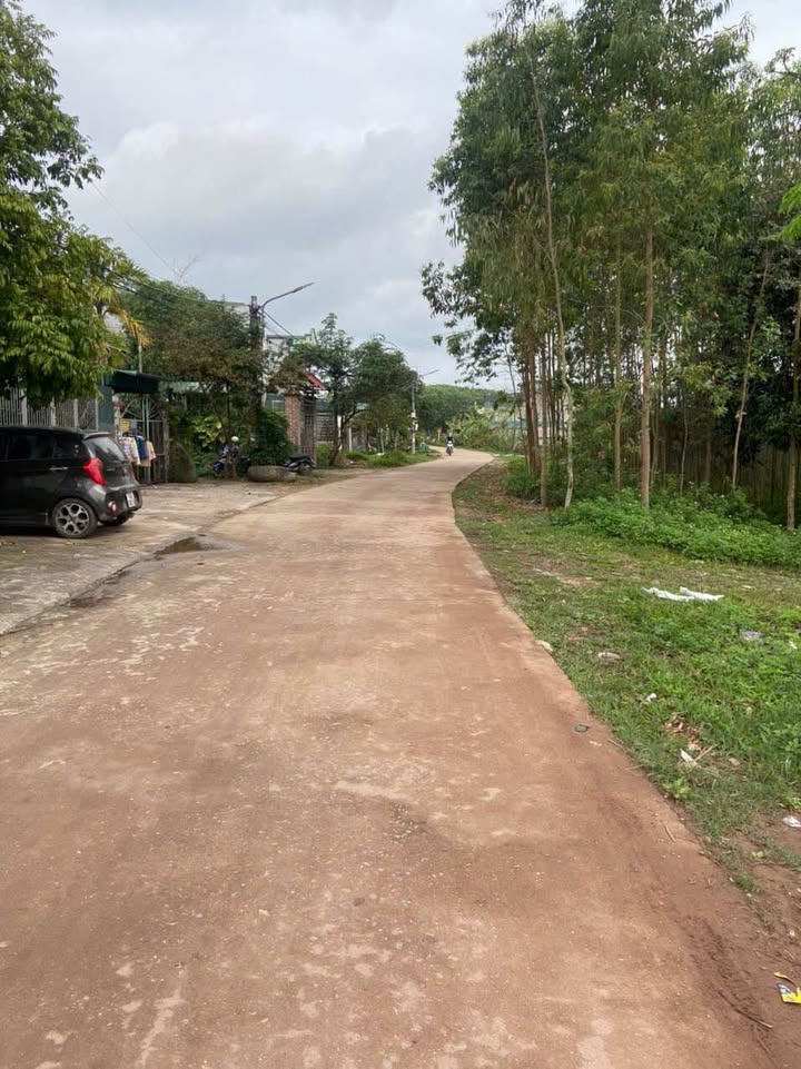 Đất nền khu 5 Móng Cái 100m² giá 1 tỷ - Sổ hồng sang tên nhanh chóng!