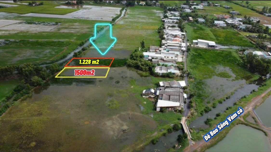 Đất lúa 1228m² Long Hựu Tây, Cần Đước - Giá chỉ 440 triệu, cơ hội đầu tư hấp dẫn!