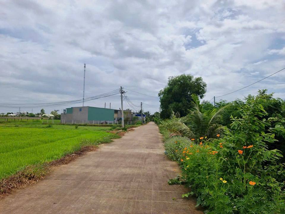 Đất nền Hòa Khánh Nam 125m² giá 750 triệu - Sổ riêng, thổ cư 100%!