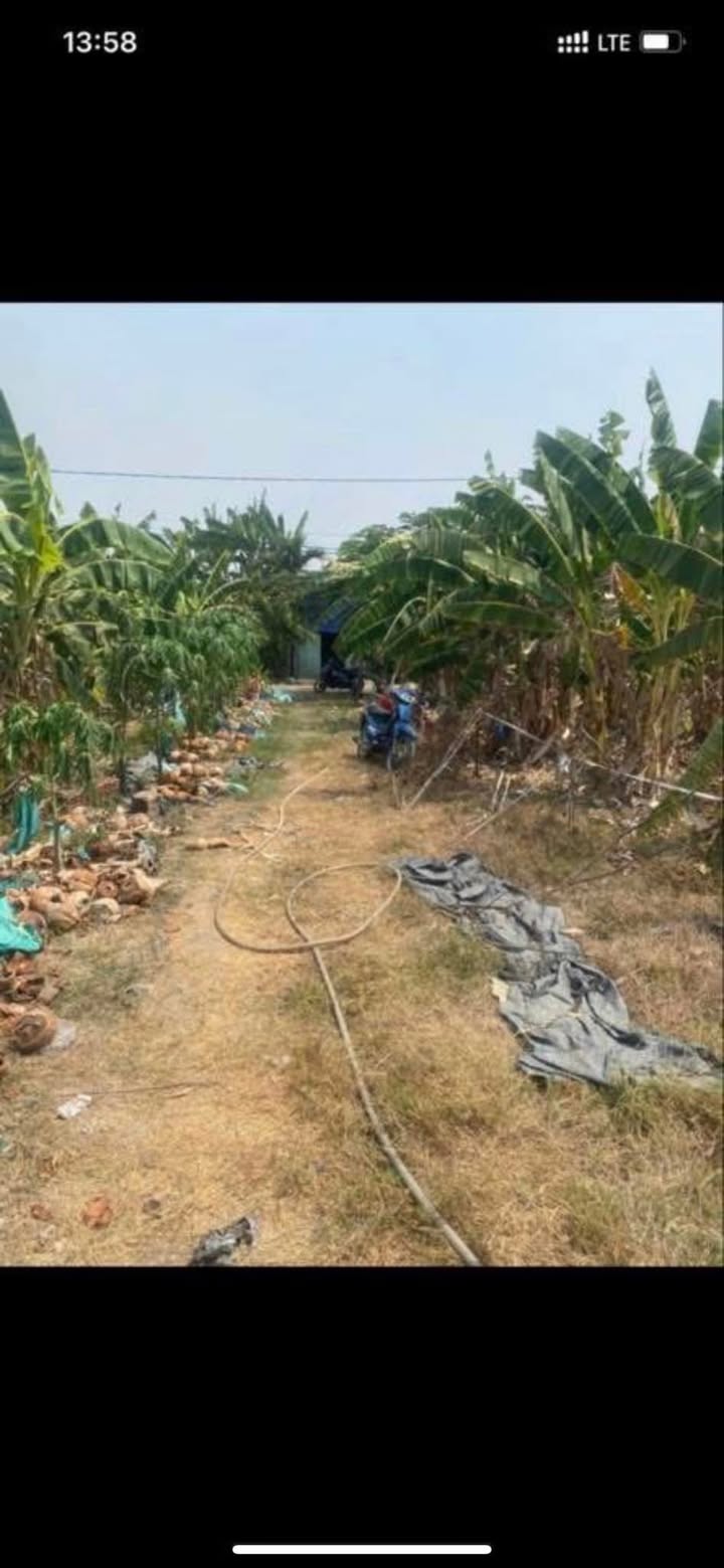 Đất nền Vĩnh Lộc A Bình Chánh 58.5m² giá 220 triệu - Bán gấp lỗ!