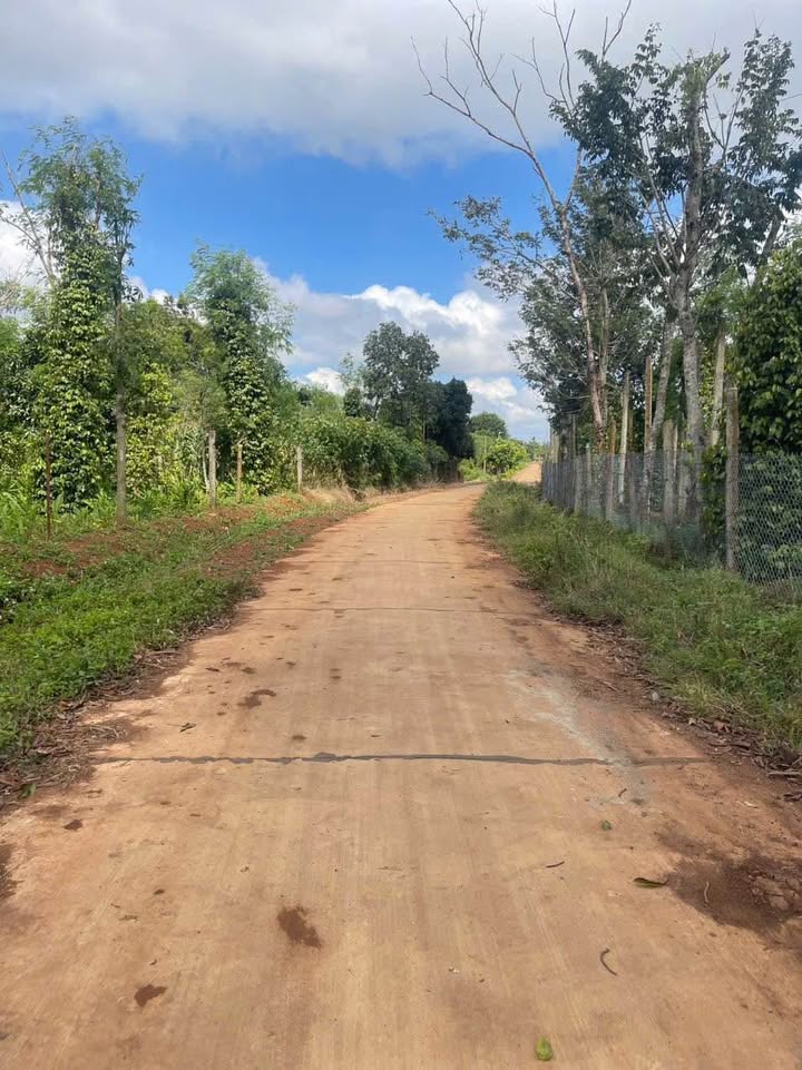 Đất nền liền kề Ea Kmut 200m² giá chỉ 400 triệu - Cơ hội đầu tư hấp dẫn!