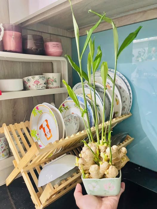 Đất nền xã Long Tân 2200m² giá 4.5 tỷ - Cơ hội đầu tư lý tưởng!